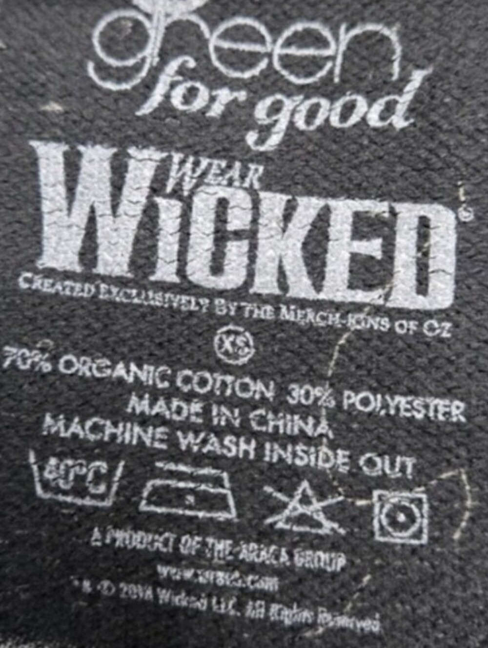 Green For Good Wear Wicked the Musical Women's Hoodie Pullover Whimsigoth Edgy - Picture 4 of 4